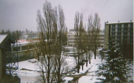 lyon snowed